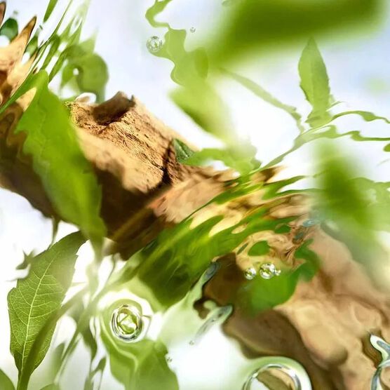 Perfume Lanc&ocirc;me &Ocirc;ff Now Feminino Eau de Toilette